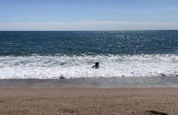 Casa Bohème - Foto 61