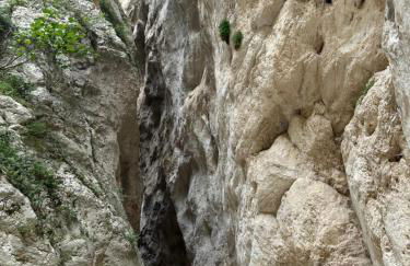 Casa Olivastri - Foto 44