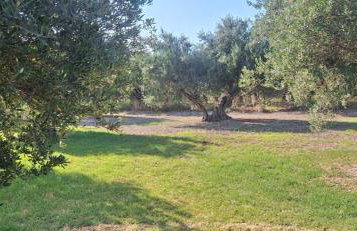 Sea view villa Manolis with private pool near the beach - Foto 25