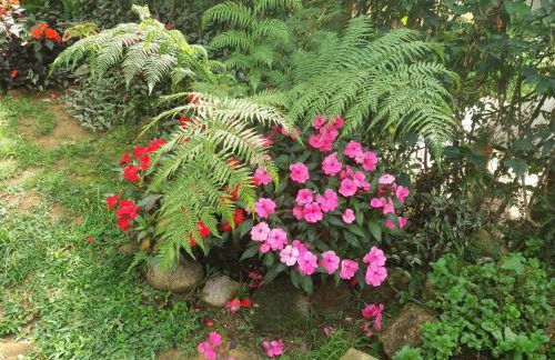 Chale Raio De Luz - Photo 29