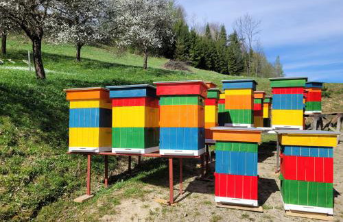 Stary Dom z Piwnicą - Foto 23