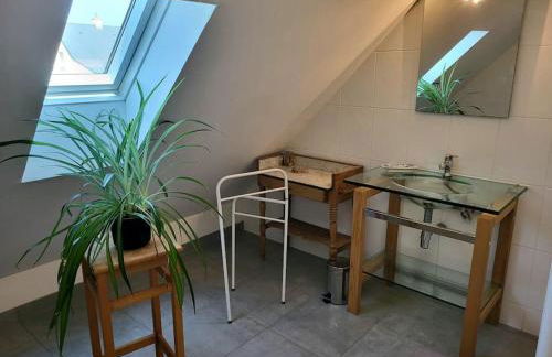 Les 3 mésanges - Foto 19