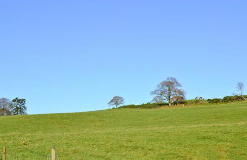 Liftingstane Cottage - Foto 15