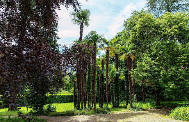 L'Orangerie di Villa Mayer - MyHomeInComo - Foto 76