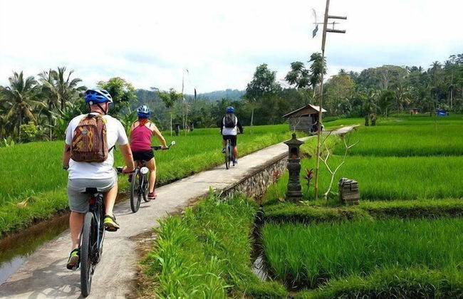 Arta Private Villa - Foto 12