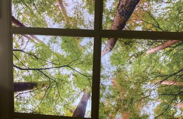 El balcón de la Muralla - Foto 16