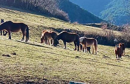 Espectacular Chalet de Montaña Pirineos, Burg - Foto 51