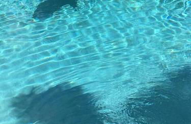 Our favorite place - Photo 22