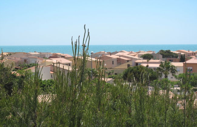 Petite Cigale - Foto 3