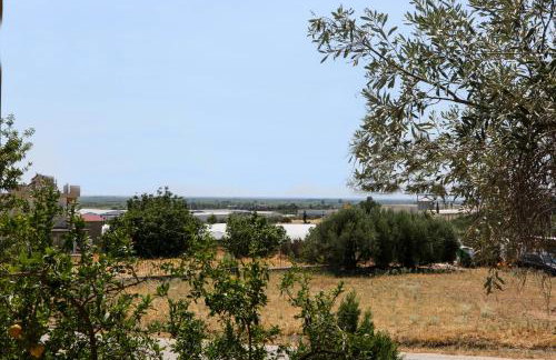 Village House - Photo 53