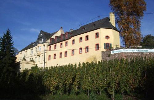 Schwalbennest auf dem Weingut Arthur Melsheimer - Foto 1
