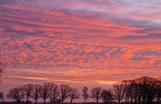 Holiday Home in Elsendorp With Garden - Foto 39