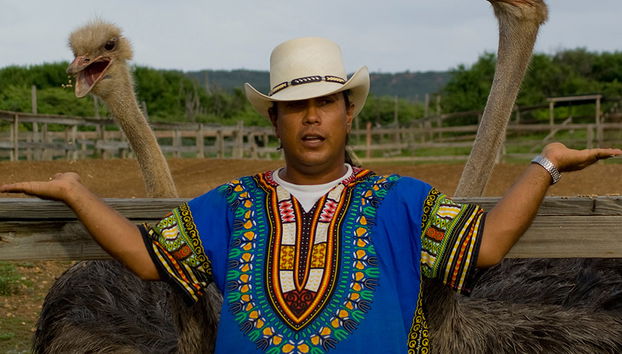 Tour della Fattoria di Struzzi e delle Grotte di Hato - Foto 4