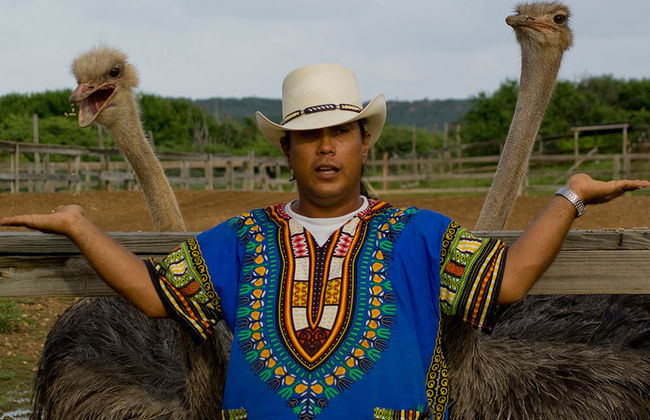 Tour della Fattoria di Struzzi e delle Grotte di Hato - Foto 4