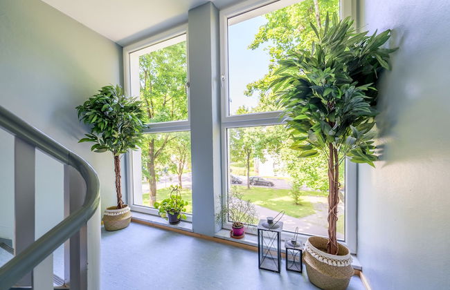 DG Links 40m 2-Zimmer Wohnung - Foto 12