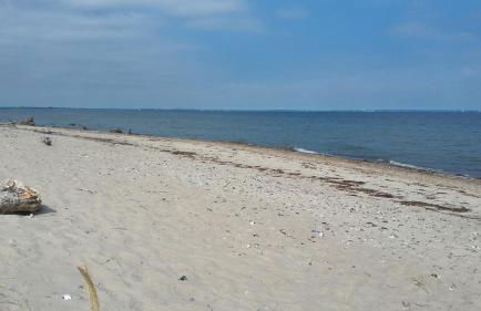 Strandhaus Florimar - Foto 21