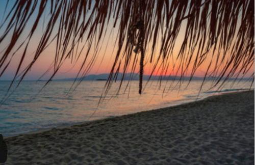 Il Panoramico - Terrazza e Jacuzzi - Foto 62