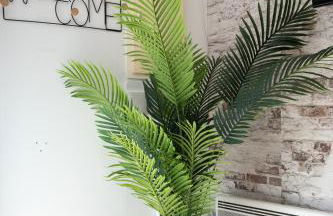 Angoulême, cosy T2 centre ville , TV , WIFI , 4 pers , moderne , parking - Foto 10