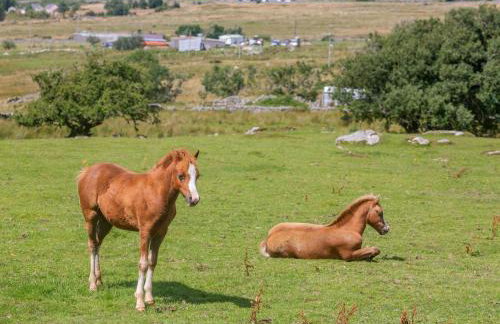 Ffynnon Bach - Foto 40