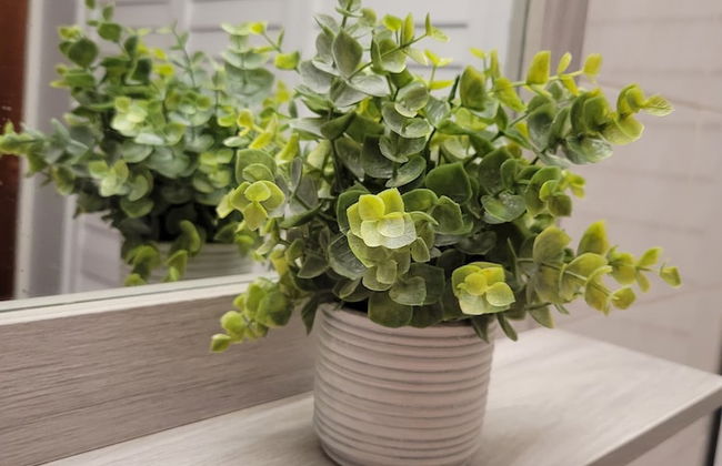 Playa icacos - Photo 20