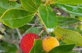 L'Original, Superbe appartement à 5min de la plage - Foto 55