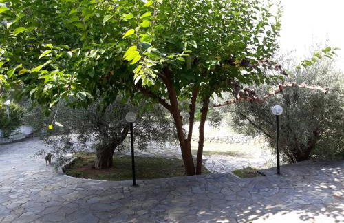 Σπίτι σε ελαιώνα, house in an olive grove - Foto 27