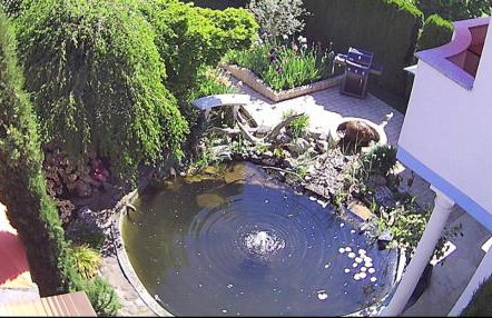 Haus Säntisblick - Foto 21