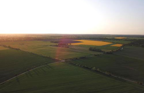 Igelnest Großthiemig - Foto 59