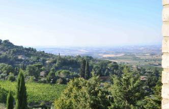 Tenuta Canina - Foto 28