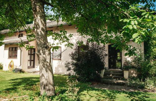 Haus Archaeopteryx – privater Außen-Pool – einzigartig im Naturpark - Foto 43