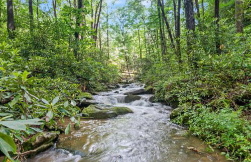 Falling Waters at Rumbling Bald - Foto 31