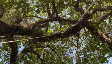 Aconchegante Casa de Hóspedes - Chácara Prado - Foto 4