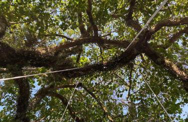 Aconchegante Casa de Hóspedes - Chácara Prado - Foto 4