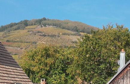 Chez Delphine - Foto 17