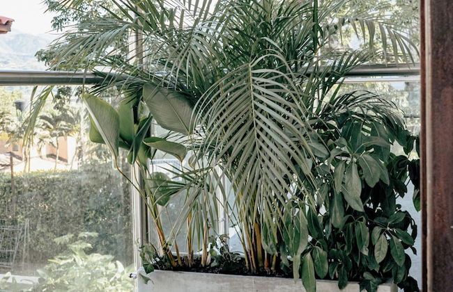 La Gracia Hotel & Spa - Foto 11