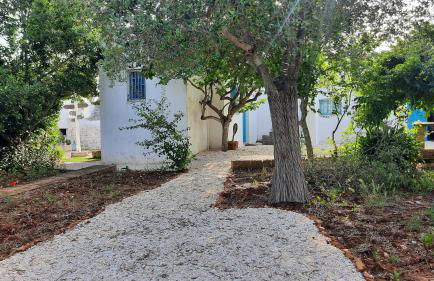 Casa Trullo Bianco: Casa Vicino - Foto 21