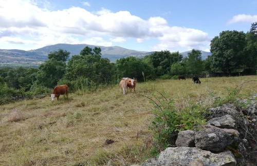 La Casita de Teléfonos - Foto 26