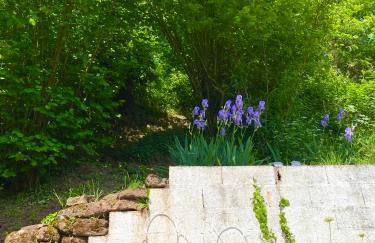 LA VILLA DES OISEAUX - La Petite Pierre - Foto 15