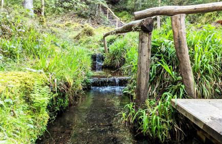 Blackforest Apartment Schömberg - Foto 43