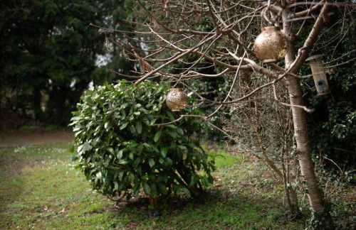 The White House Holiday Cottage - Pass the Keys - Foto 21