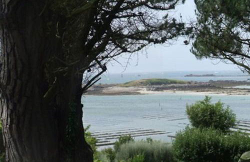 Belle maison bretonne - Foto 27