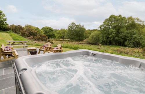 Llugwy Pod - Foto 19