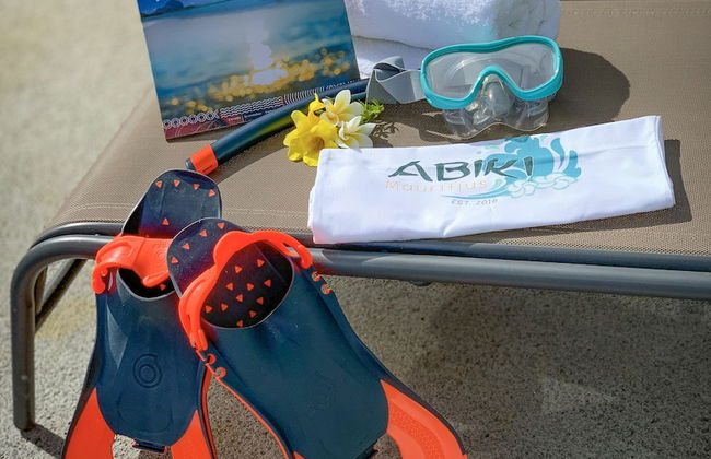 Abiki Mauritius - Photo 31