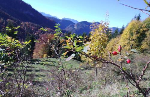 Ferienwohnung Bergzeit - Foto 6