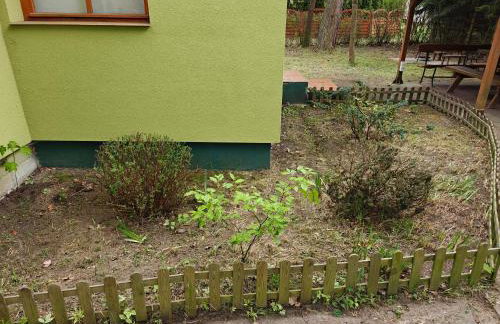 Leśna Ostoja w centrum Puszczy Nadnoteckiej otoczona 3 jeziorami - Foto 5