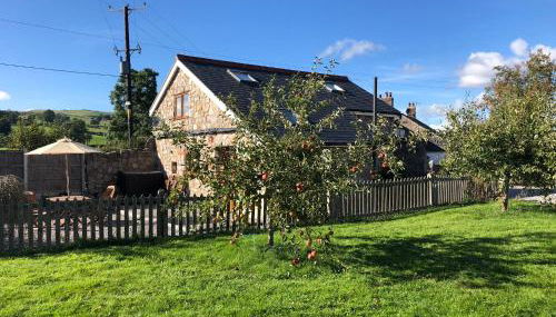 Ty Gylfinir - Foto 2, Garden