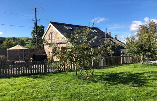 Ty Gylfinir - Foto 2