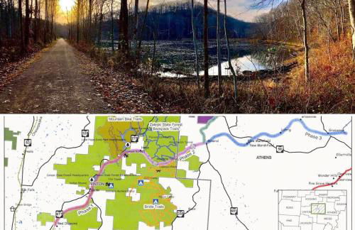 Romantic King Bed, Heart Shaped Hot Tub, Fire Pit - Foto 10