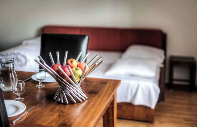 Comfort Aparthotel Lourdes L'Acacia - Photo 8