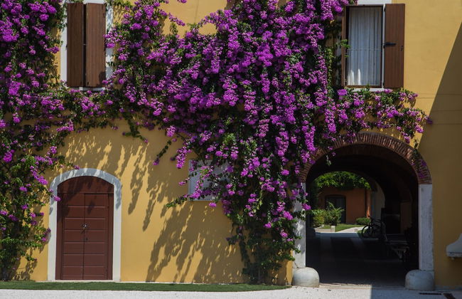 Agriturismo La Filanda - Foto 63